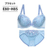 ブラ＆ショーツセット 花柄刺繡【EFGHサイズ】 ba1073a