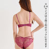 ブラ＆ショーツセット 総レース×ストリング【EFGHサイズ】 ba1099