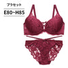 ブラ＆ショーツセット 総レース×ストリング【EFGHサイズ】 ba1099a