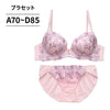 ブラ＆ショーツセット 花柄刺繍 【ABCDサイズ】 ba1105a