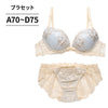 ブラ＆ショーツセット アンティーク風刺繍 【ABCDサイズ】 ba1107a