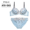 ブラ＆ショーツセット ローズ柄刺繍 【ABCDサイズ】 ba1114b