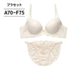 脇高ブラ＆ショーツセット 無地×レース 【ABCDEFサイズ】 ba1117b