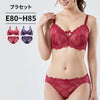 ブラ＆ショーツセット 総レース【EFGHサイズ】 ba1135
