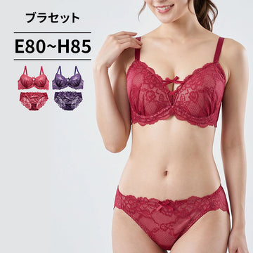ブラ＆ショーツセット 総レース【EFGHサイズ】 ba1135