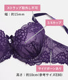 ブラ＆ショーツセット 総レース【EFGHサイズ】 ba1135