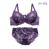 ブラ＆ショーツセット 総レース【EFGHサイズ】 ba1135