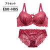 ブラ＆ショーツセット 総レース【EFGHサイズ】 ba1135a