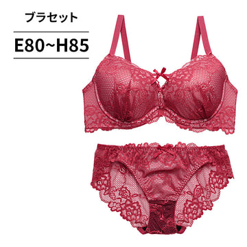 ブラ＆ショーツセット 総レース【EFGHサイズ】 ba1135a