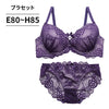 ブラ＆ショーツセット 総レース【EFGHサイズ】 ba1135b