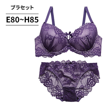 ブラ＆ショーツセット 総レース【EFGHサイズ】 ba1135b