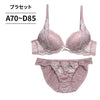 脇高ブラ＆ショーツセット レース×刺繍 【ABCDサイズ】 ba1137b