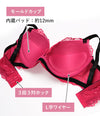 ブラ＆ショーツセット 総レース【EFGHサイズ】 ba1138a
