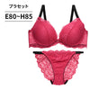 ブラ＆ショーツセット 総レース【EFGHサイズ】 ba1138a