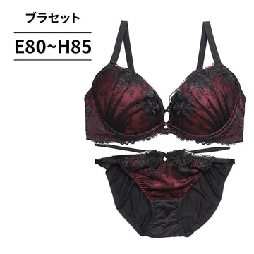 ブラ＆ショーツセット 花柄ブラック刺繍【EFGHサイズ】 ba1139a