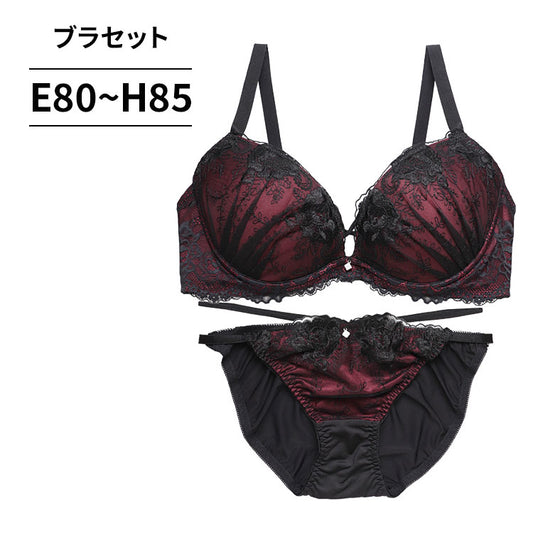 ブラ＆ショーツセット 花柄ブラック刺繍【EFGHサイズ】 ba1139a
