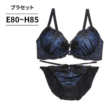 ブラ＆ショーツセット 花柄ブラック刺繍【EFGHサイズ】 ba1139b
