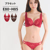 脇高ブラ＆ショーツセット レース【EFGHサイズ】 ba1140