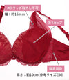 脇高ブラ＆ショーツセット レース【EFGHサイズ】 ba1140
