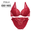 脇高ブラ＆ショーツセット レース【EFGHサイズ】 ba1140a