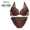 脇高ブラ＆ショーツセット レース【EFGHサイズ】 ba1140b