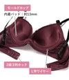 ブラ＆ショーツセット ラメシフォン 【ABCDサイズ】 ba1141b