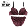 ブラ＆ショーツセット ラメシフォン 【ABCDサイズ】 ba1141a