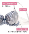 ブラ＆ショーツセット 花柄刺繍 【ABCDサイズ】 ba1142