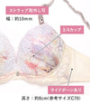 ブラ＆ショーツセット 花柄シフォン 【ABCDサイズ】 ba1143