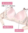 ブラ＆ショーツセット 花柄シフォン 【ABCDサイズ】 ba1143