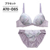 ブラ＆ショーツセット 花柄シフォン 【ABCDサイズ】 ba1143b