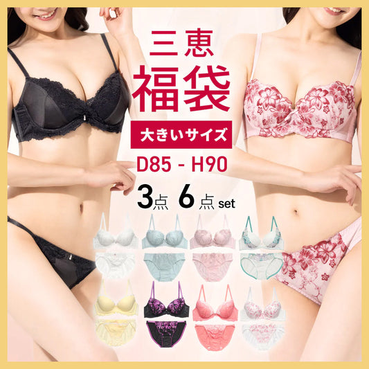 福袋2026 選べるブラセット3点 大きいサイズ 送料無料 f0087