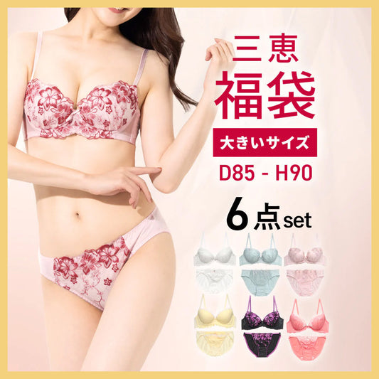 福袋2026 選べるブラセット6点 大きいサイズ 送料無料 f0087