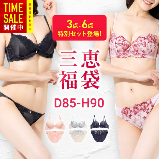 福袋2026 選べるブラセット3点 大きいサイズ 送料無料 f0087