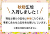 【日本製】総ゴムズボン レディース 婦人用ズボン 大きいサイズ