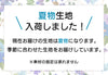 「公式サイト限定価格」おまかせ総ゴムパンツ（S～LL）