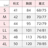 2枚組 半袖ホックシャツ 紳士用 sa3497